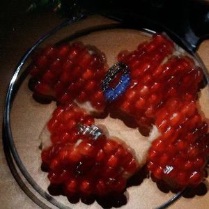 美日韩女兽交高潮视频
