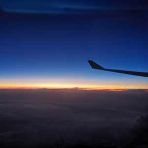 美日韩女兽交高潮视频
